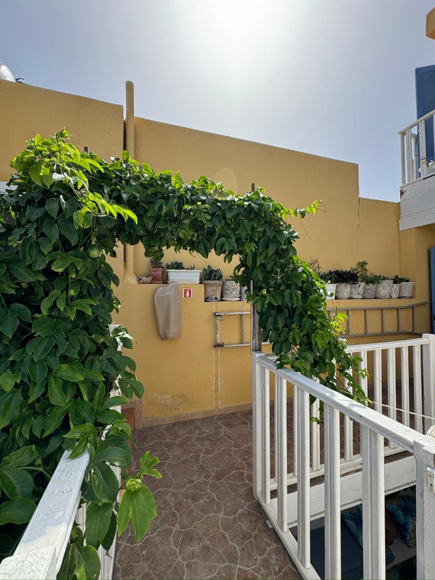 B&B Mi Ma Bo, Sal Rei, Boa Vista, Cape Verde, Free Wi-Fi Exterior photo